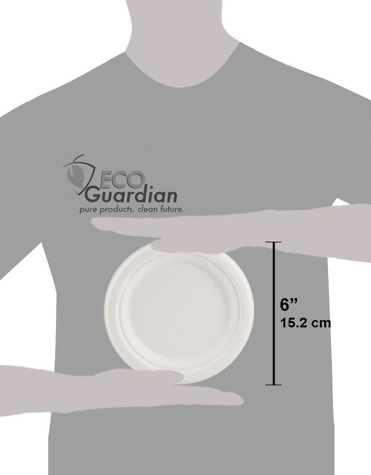 6" Round Fibre Compostable Plate - Image 3