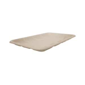 Meat/Produce Tray (202 x 141 x 14.2 mm) / Bagasse / Compostable