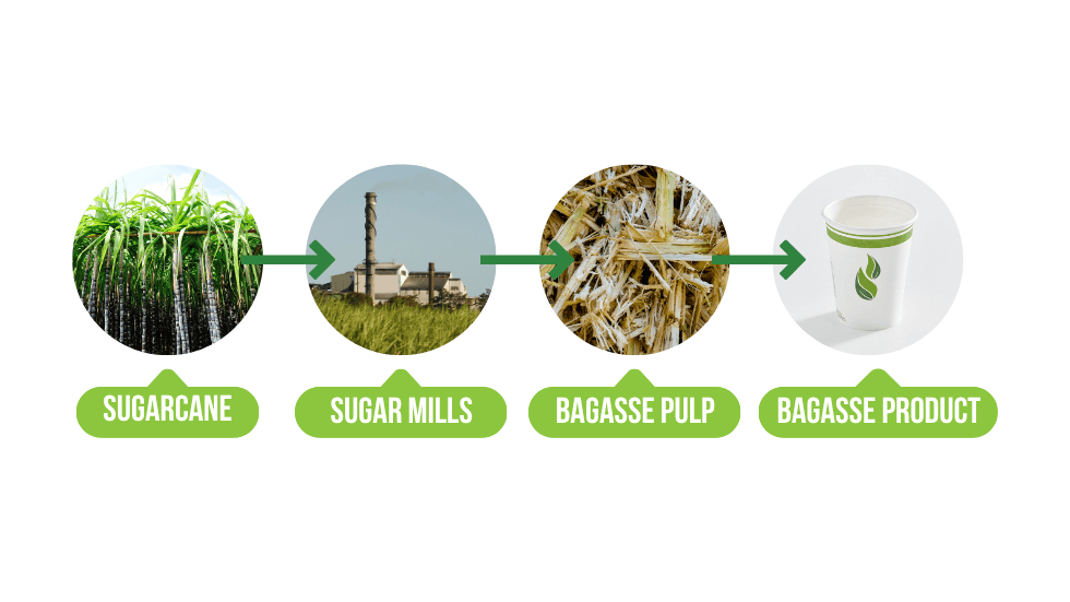 Bagasse production steps